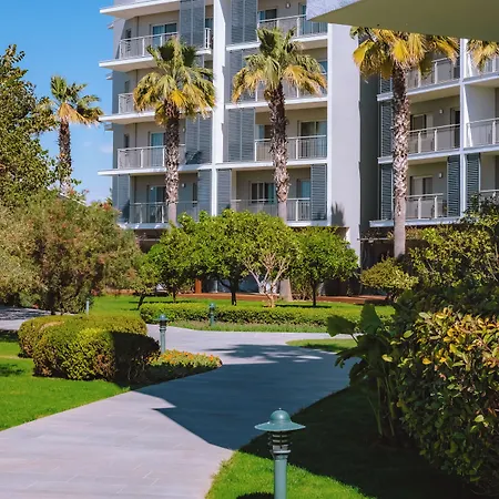 Barut Goia 锡德